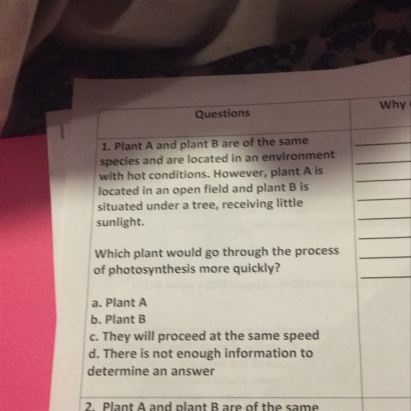 Which plant would go through the process of photosynthesis more quickly?-example-1