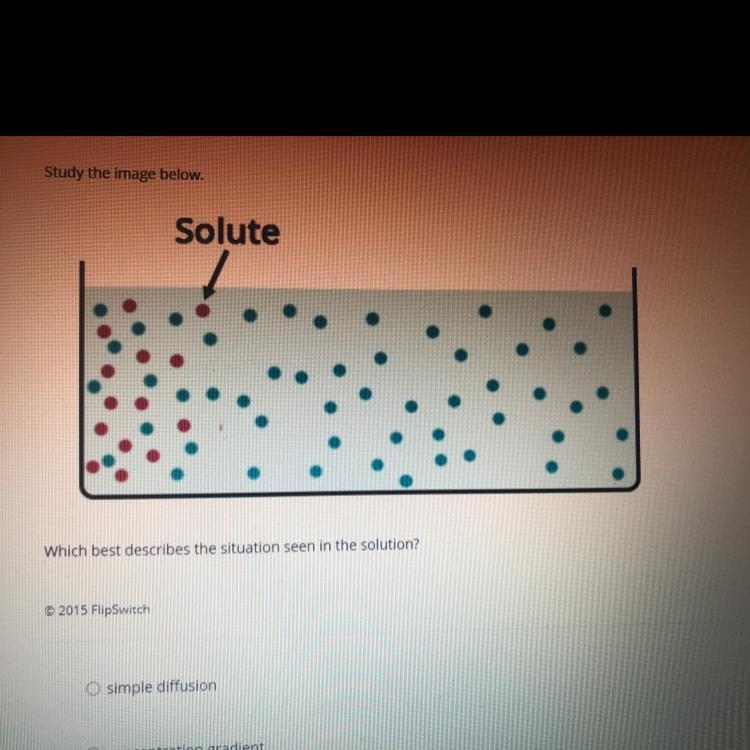 PLEASE HELPPPPP!! A) Simple Diffusion B) Concentration Gradient C) Isotonic D) Equilibrium-example-1