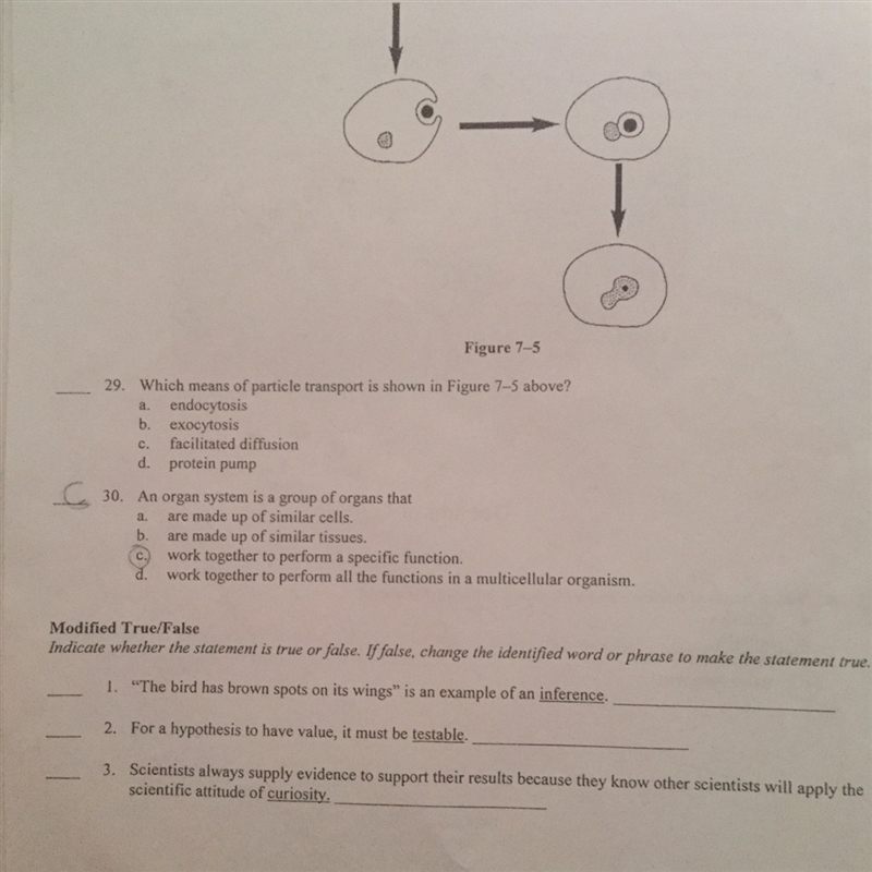 I need the answer for number 29 And 1 2 3 for true and false please-example-1