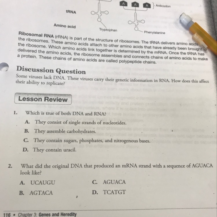 Which is true of both DNA and RNA-example-1