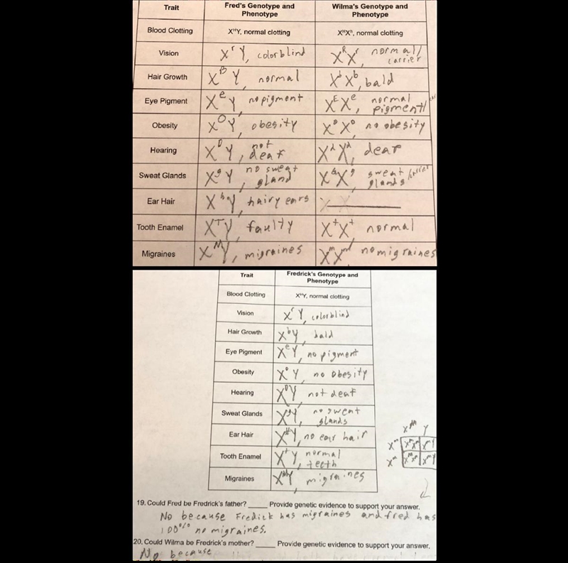 URGENT (asked 3 times). I need help on what the answer to 19 & 20 is and how to-example-1