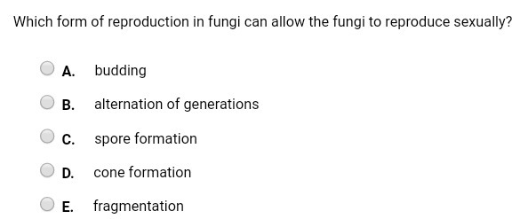 Please help me !! 15 points!! Thanks in advance!! These are options for the first-example-2