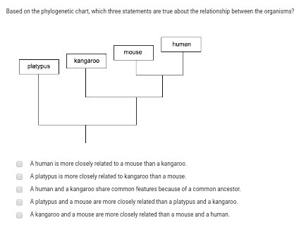 Please help me !! 15 points!! Thanks in advance!! These are options for the first-example-4