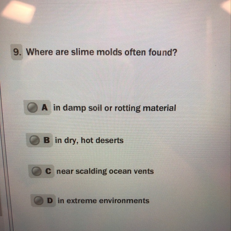 What are slime molds often found-example-1