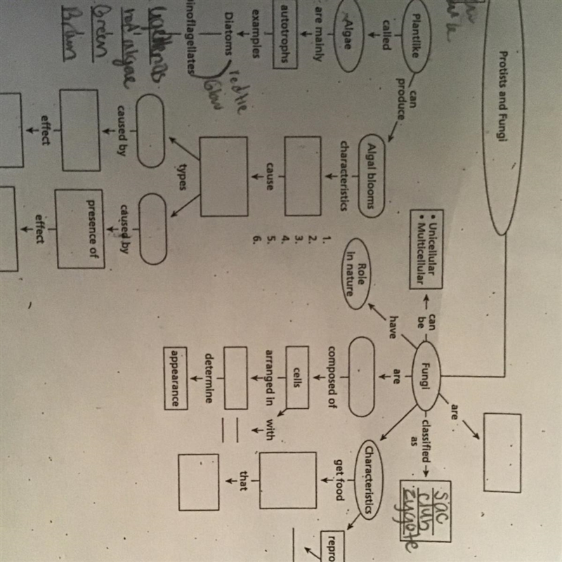 Does know the answers to this-example-1