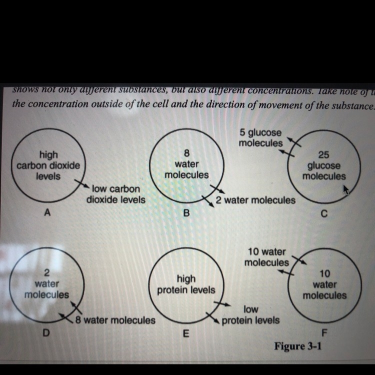 Diagram C in figure 3-1 is an example of _____. A: Diffusion B: active transport C-example-1