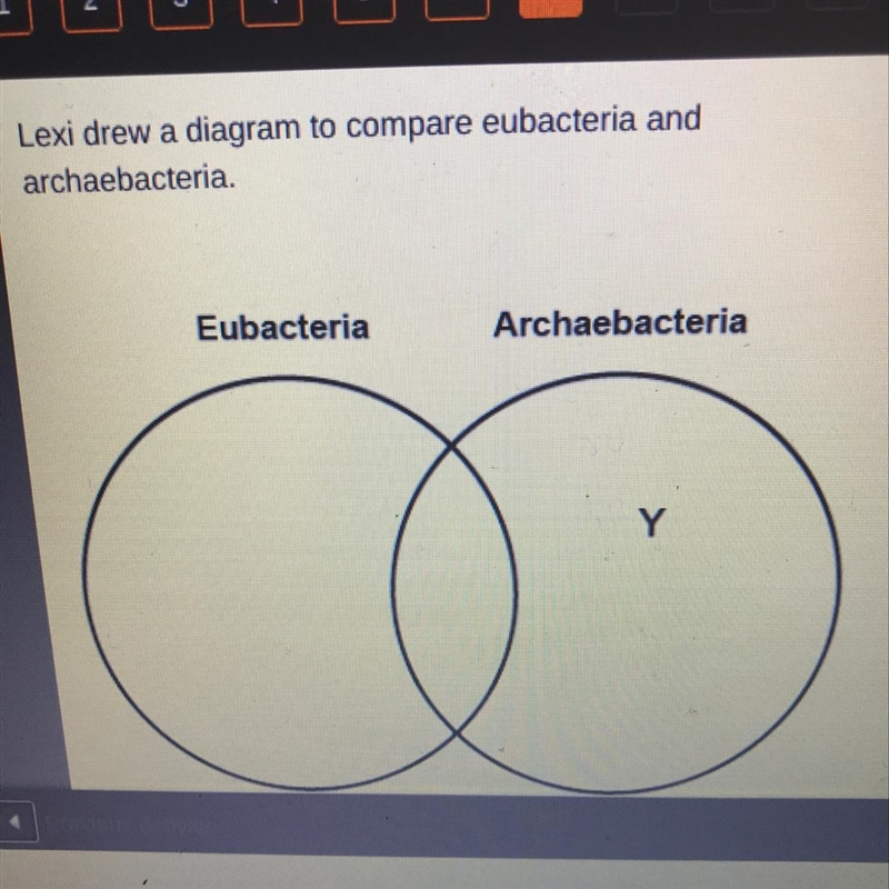 Lexi drew a diagram to compare eubacteria and archaebacteria. Which label belongs-example-1