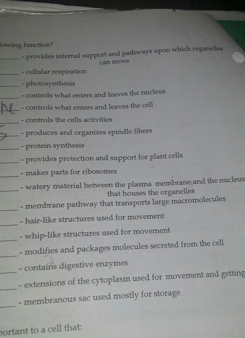 What organelles provides internal support and pathways upon which organelles can move-example-1