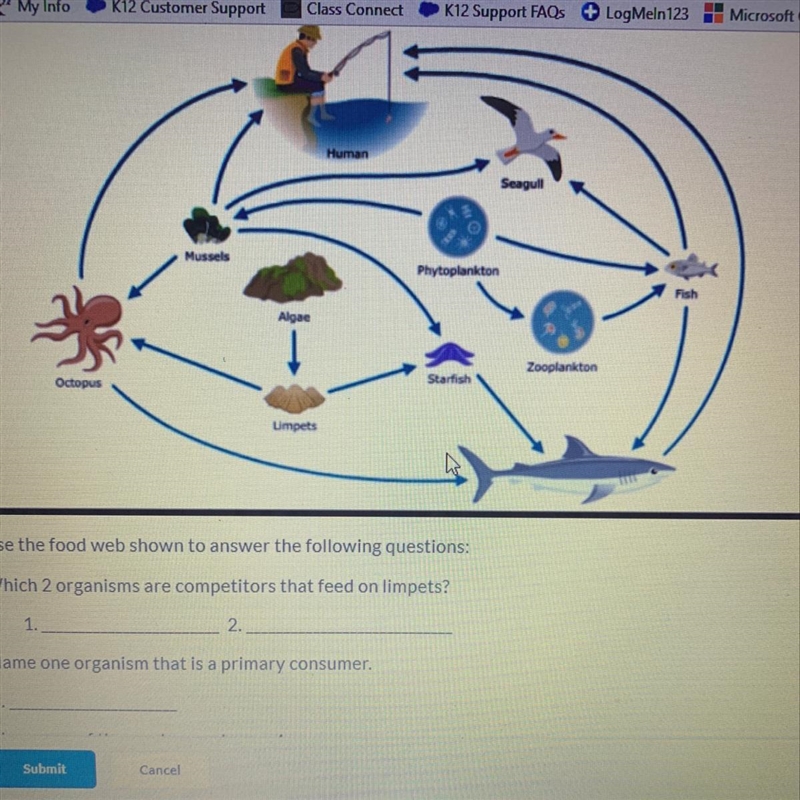 Help me with this 30 points for it! 1. Which 2 organisms are competitors that feed-example-1