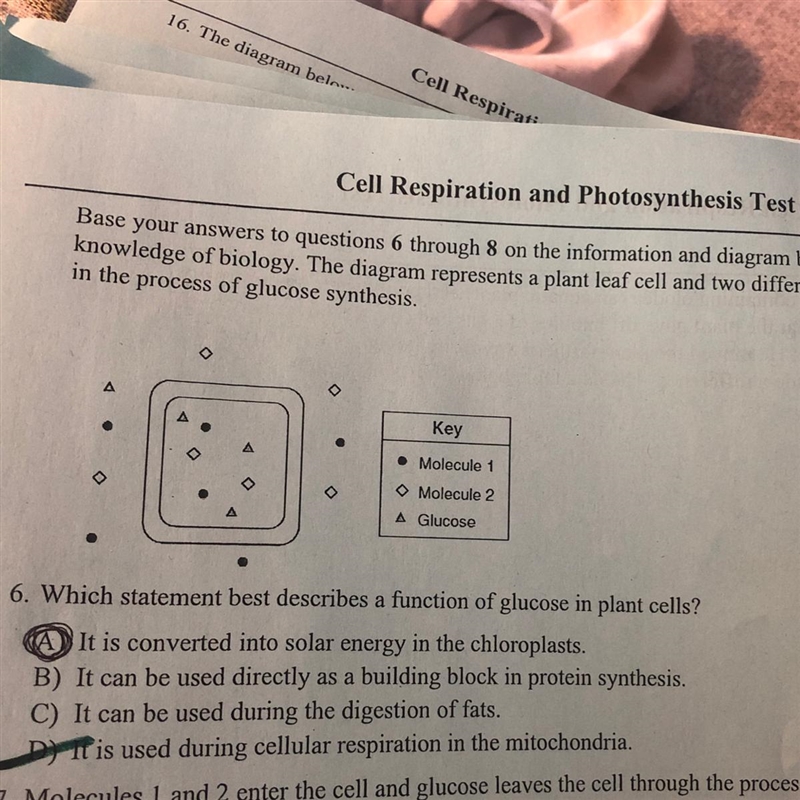 Can someone please explain to me why the answer is D?? I don’t understand!!-example-1