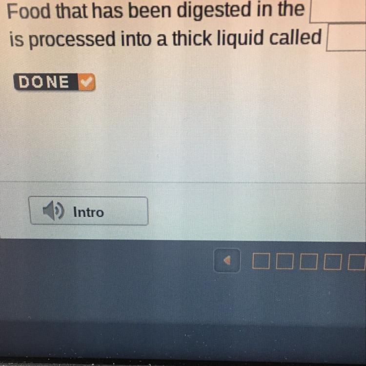 Food that has been digested in the __ is processed into a thick liquid called-example-1