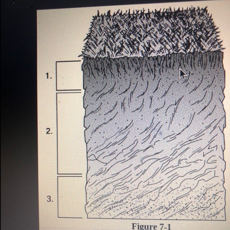 The correct labels for the numbers in figure 7-1 ________, 2 ___________, 3____________.-example-1