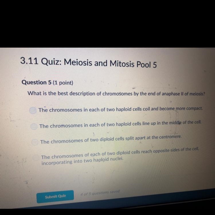 What is the best description of anaphase II of meiosis? A.) The chromosomes in each-example-1