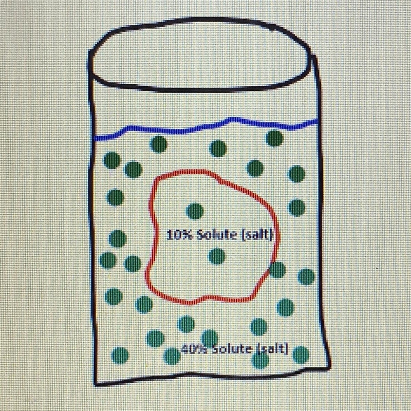 What will move across the cell membrane in this situation? The salt or the water? a-example-1