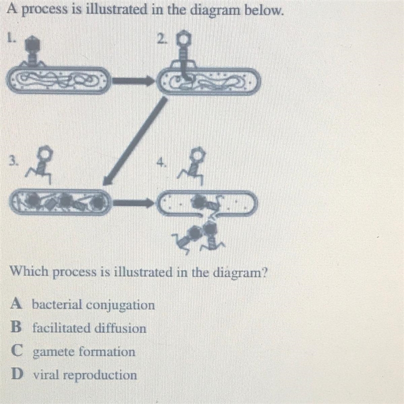 Please help me I will give 20 points-example-1