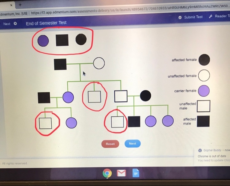 Identify the genotype for this pedigree chart-example-1