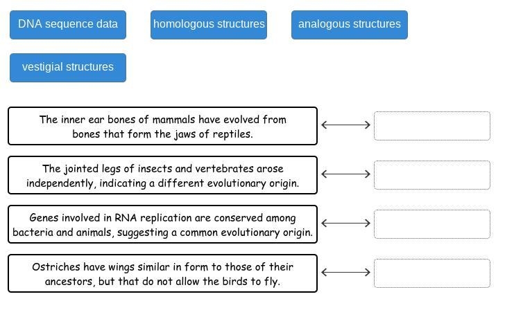 Match the type of of evidence for evolution with the correct example.-example-1