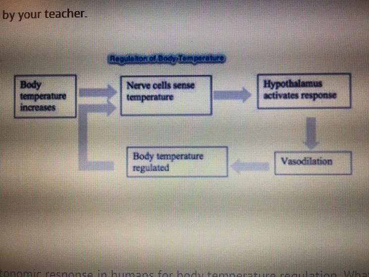 hurry pls! biology hw! this model depicts the autonomic response in humans for body-example-1