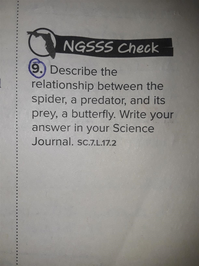 Describe the relationship between the spider,a predator and a butterfly,a pray.​-example-1