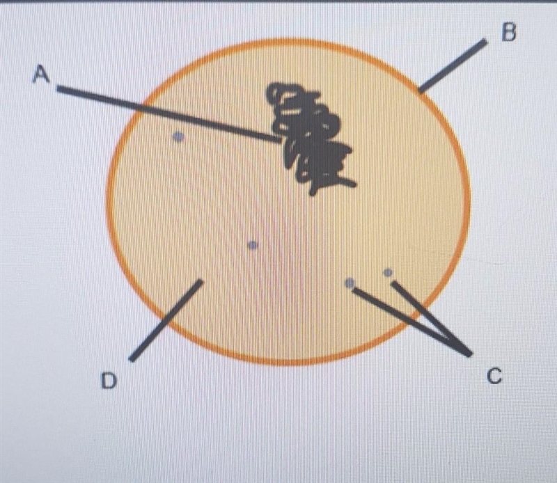 Using the drop-down menus, identify the structures common to all cells.​-example-1