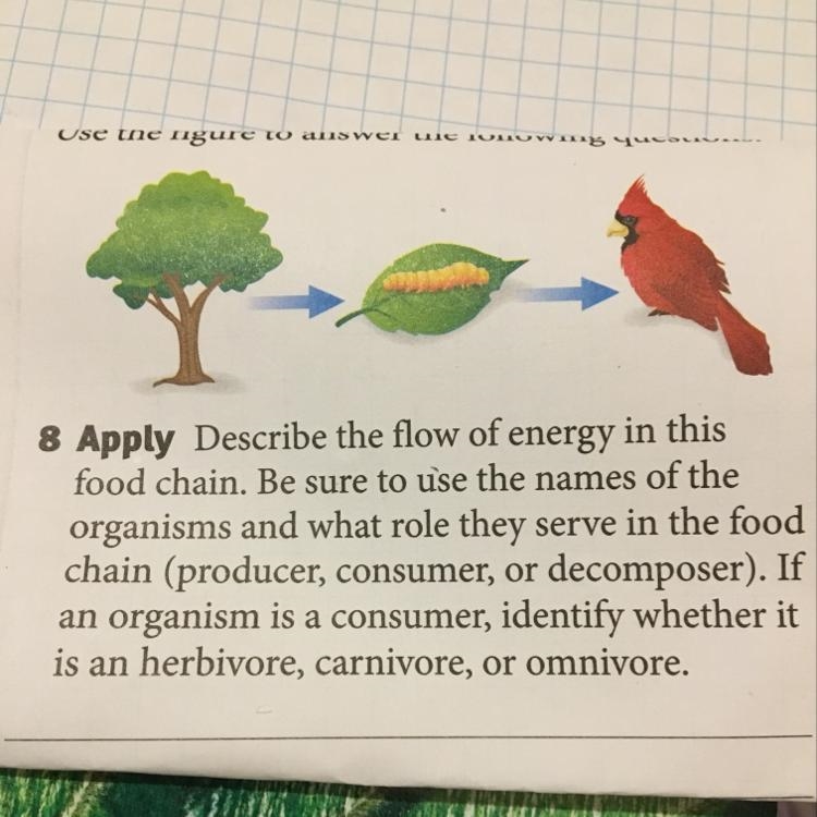 What is the role and the Names of the organisms and if the organism is a consumer-example-1