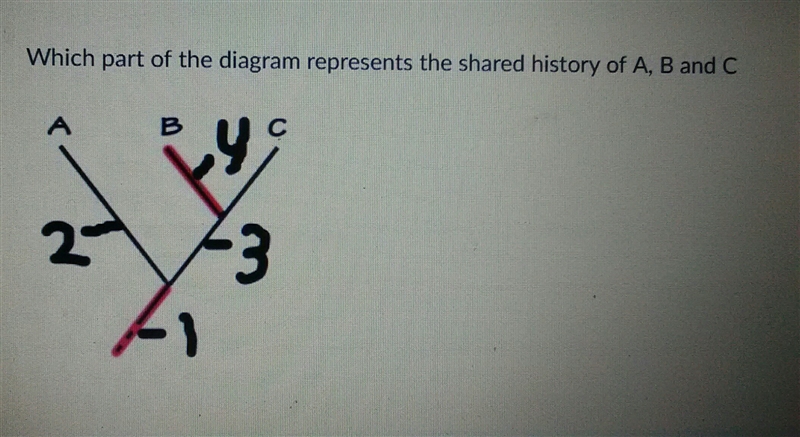 I need Help ASAP!!! a. 1 b. 2 c. 3 d. 4-example-1