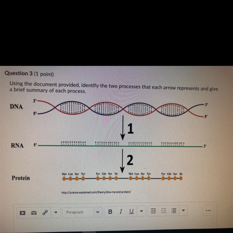 (70) points for this question-example-1