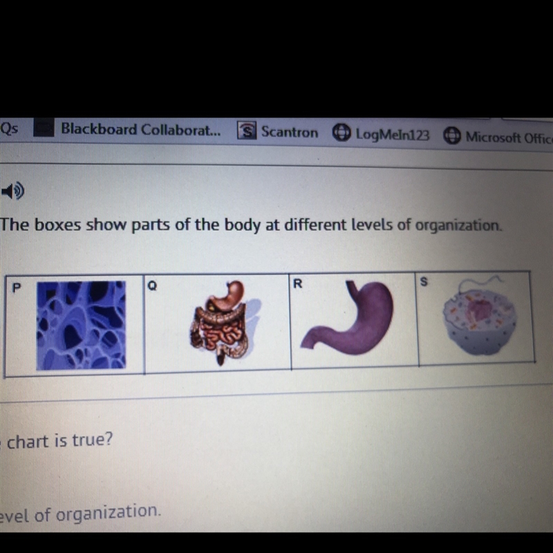 PLZZZ HELPPP MEHHH!!!! 20 POINTS!!!!What statement about the chart is true? A: P is-example-1