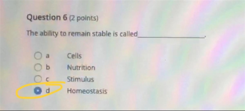 Need help on checking my answers! The ones circled in yellow are the ones that I believe-example-1