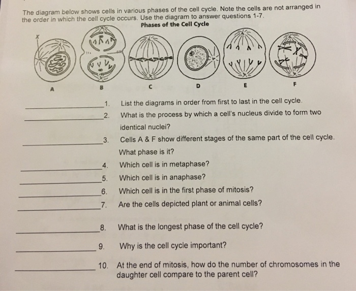 Help me please because i forgot my notes-example-1