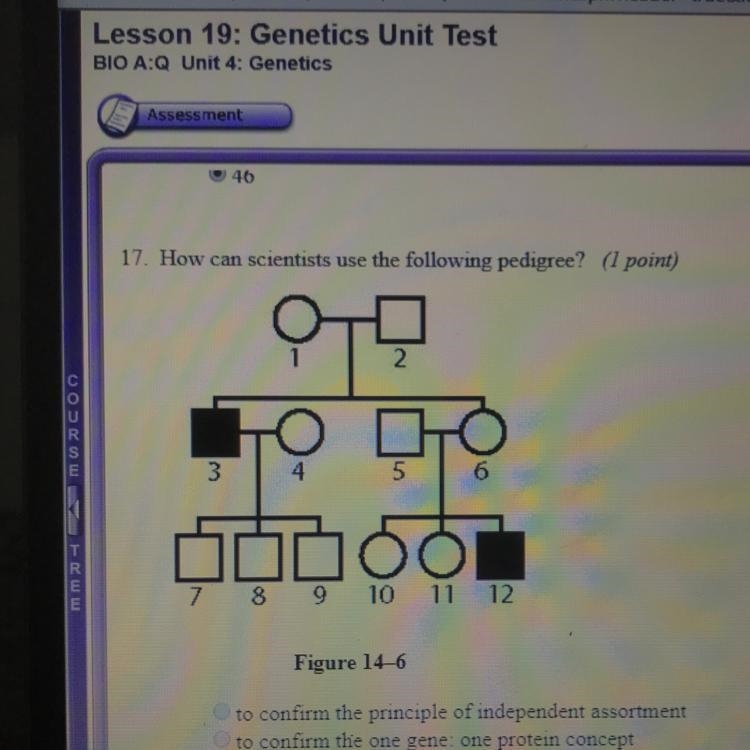 11. How can scientists use the following pedigree? (1 point) A. to confirm the principle-example-1