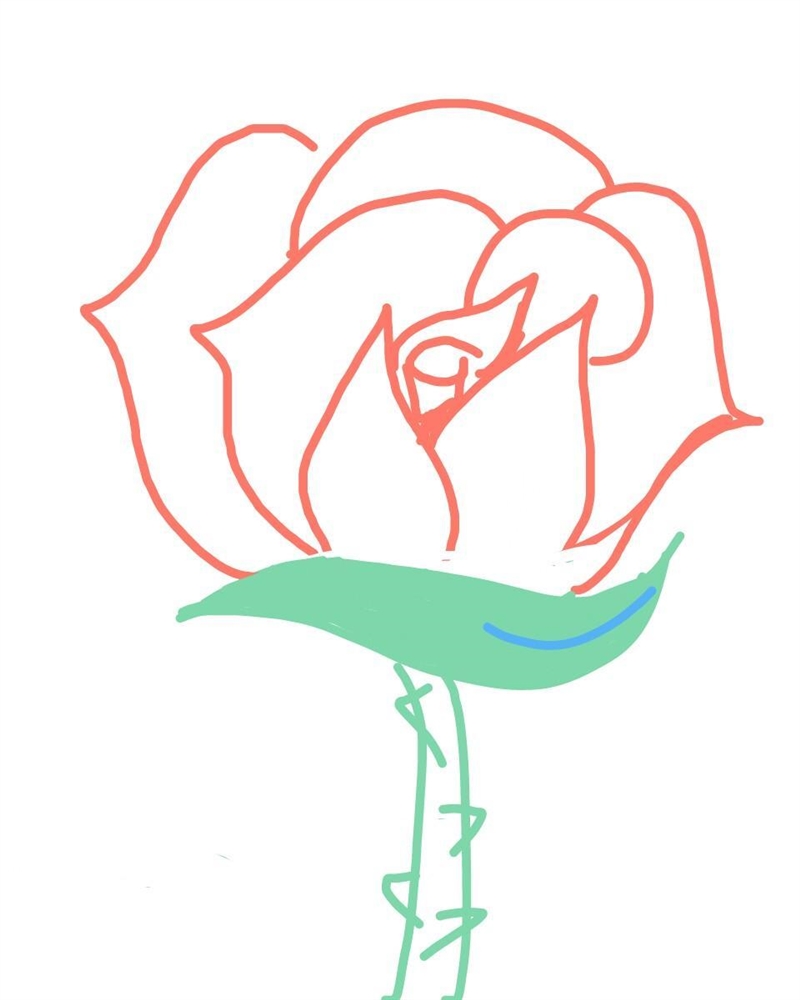 How many spines does a rose have?​-example-1