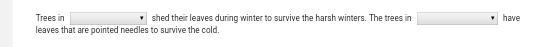 PleAse help me now!!!!!! Urgently 17 POINTS and will make as branilest do best answer-example-5