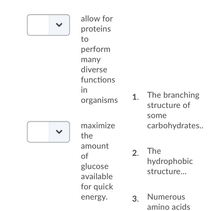 Match the structure of the macromolecule to the description of the function:-example-1