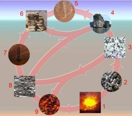 (Please help ;-;) What process is most likely occurring at point 9 in the diagram-example-1