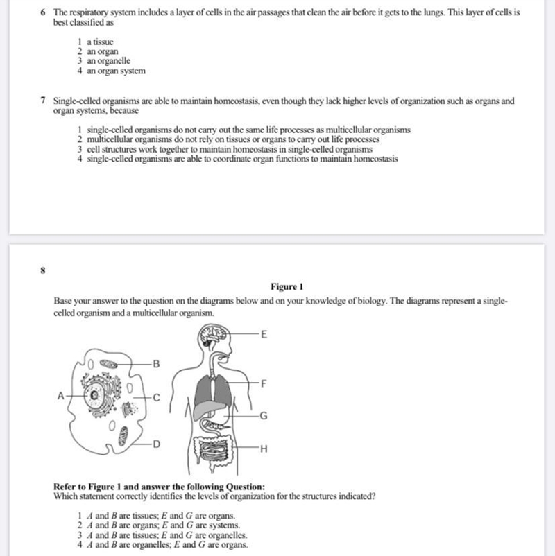 Please help and don’t guess PLEASE HELP ME ASAD NEED HELP ALT OF POINTS AND LIKES-example-1