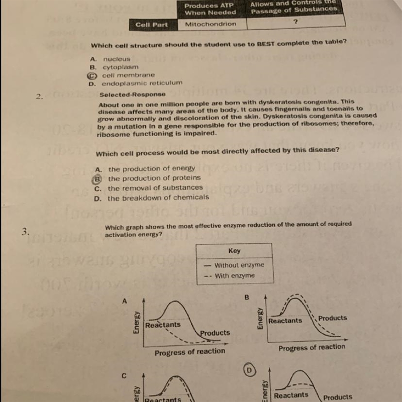 How are 2 and 3 the answer-example-1