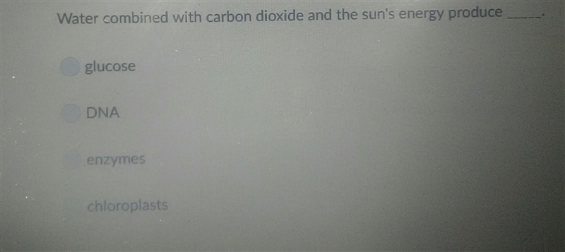 What turn combined with carbon dioxide and the sun's energy produce_____.-example-1