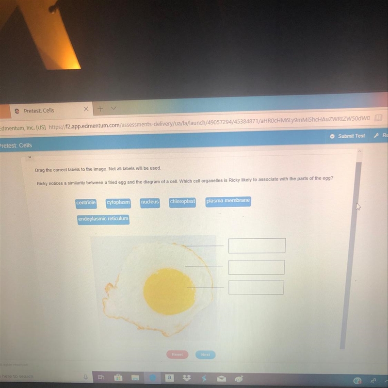 Ricky notices a similarity between a fried egg and the diagram of a cell.-example-1