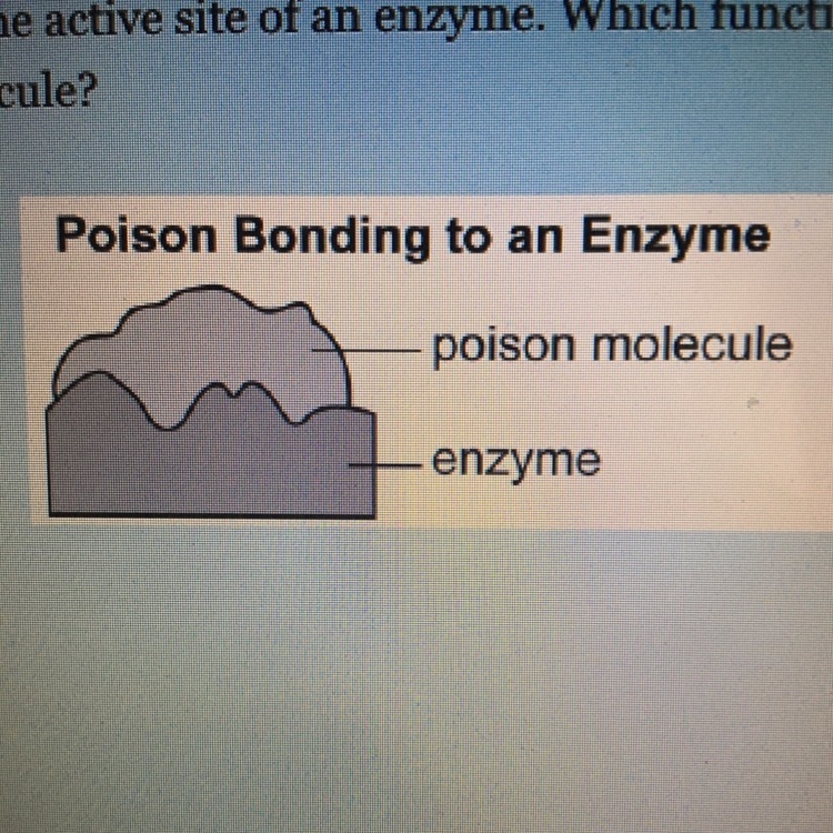 The diagram models how a poison bonds to the active site of an enzyme. Which function-example-1