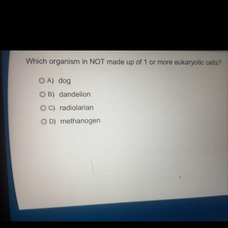 Which organism in NOT made up of 1 or more eukaryotic cells ?-example-1