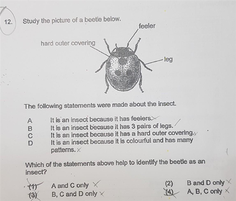 Which is the correct answer and why?​-example-1