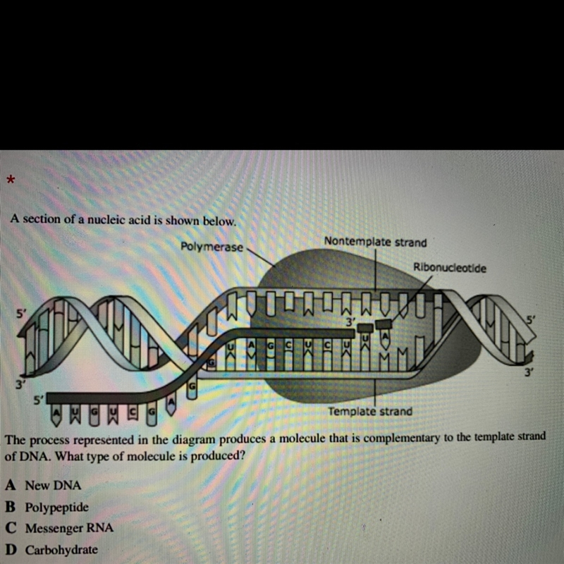 The answer 20 points-example-1