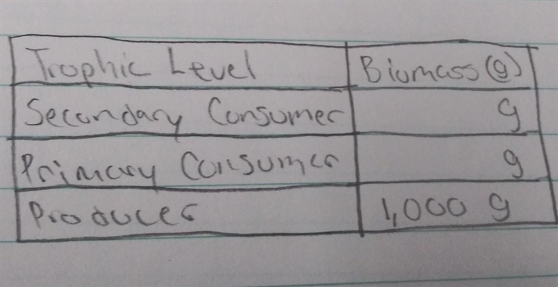 How much biomass is transferred to the next trophic level? Complete the table below-example-1