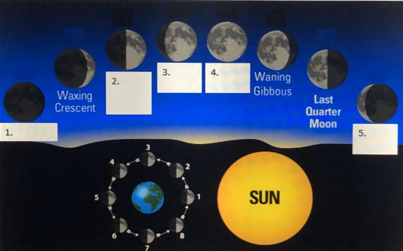 18 POINTS!! Correctly label the phases of the moon. Make sure to indicate your answer-example-1