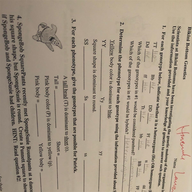 Does anyone know how to do question 2?-example-1