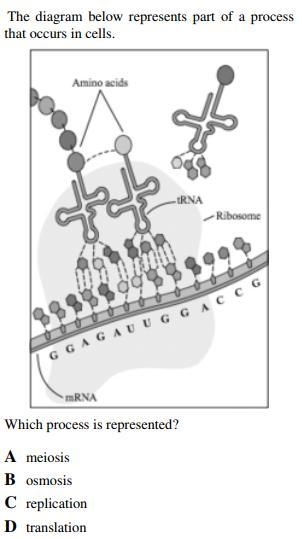 Hi, biology help needed! Thanks for any help!-example-2