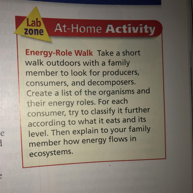 Pls help me with this activity-example-1