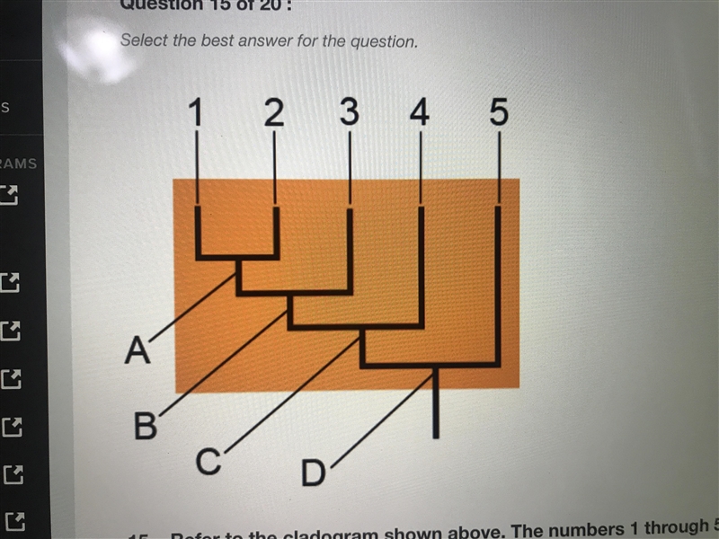 Refer to the cladogram shown above. The numbers 1 through 5 represent species that-example-1