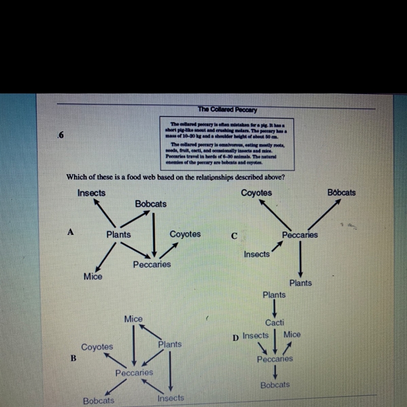 Could someone please help me with this?-example-1